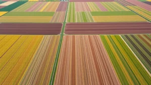 Aerial view of extensive agricultural fields with different crop sections showing soil color variations, demonstrating precision farming techniques and nitrogen management practices in sustainable agriculture