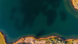 Aerial view of large freshwater lake with clear water surrounded by natural vegetation, wetlands, and wildlife habitat showing healthy aquatic ecosystem conditions